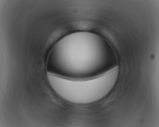 X0000093720407200710160755