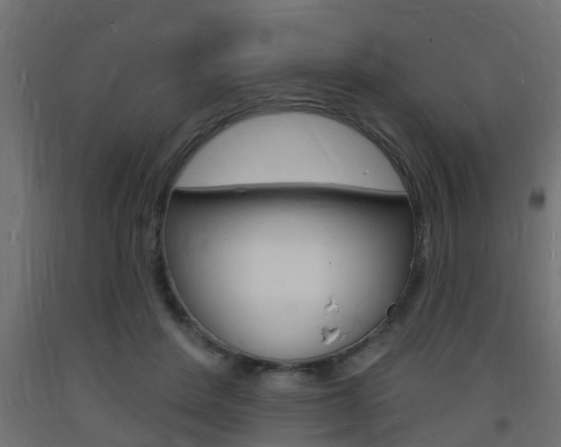 X0000093720408200710160755