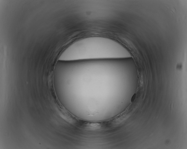X0000093720409200710160755