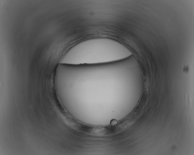 X0000093720410200710160755