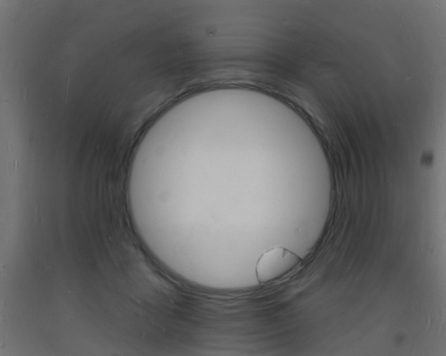 X0000093720411200710160755