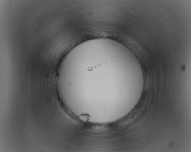 X0000093720414200710160755