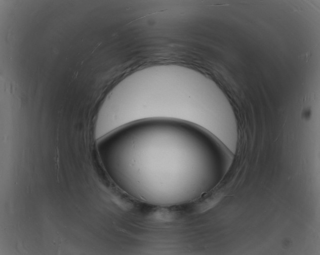 X0000093720416200710160755