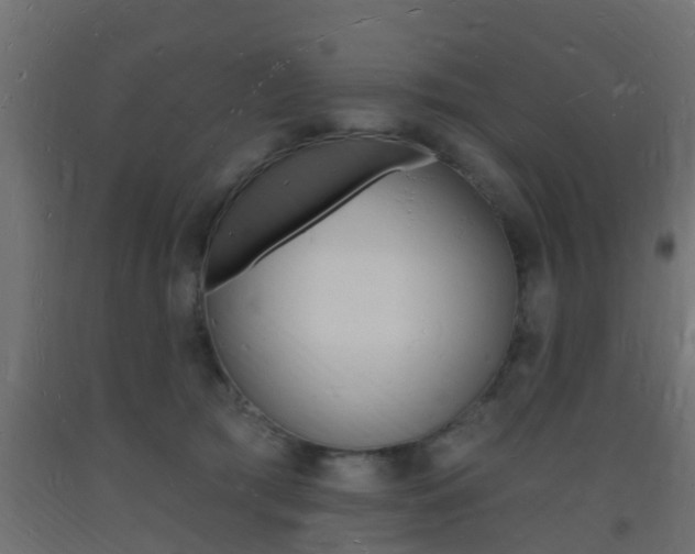 X0000093720417200710160755