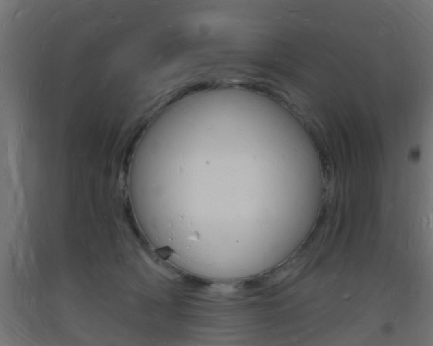 X0000093720418200710160755