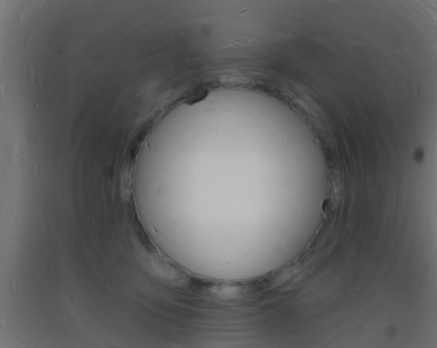 X0000093720419200710160755