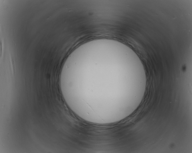 X0000093720421200710160755
