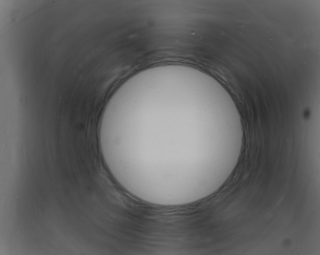 X0000093720423200710160755