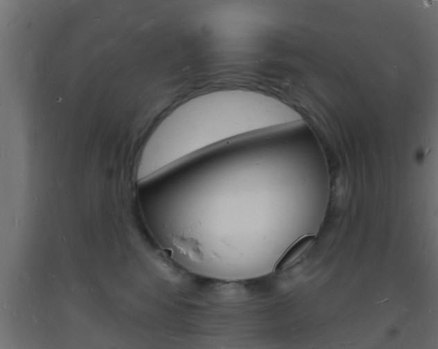 X0000093720424200710160755