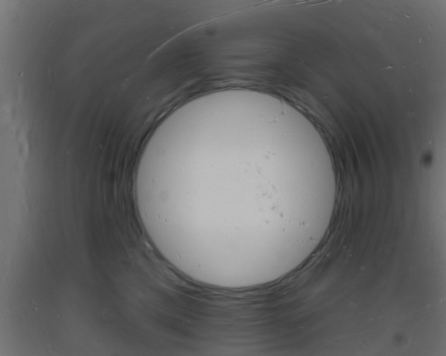 X0000093720425200710160755