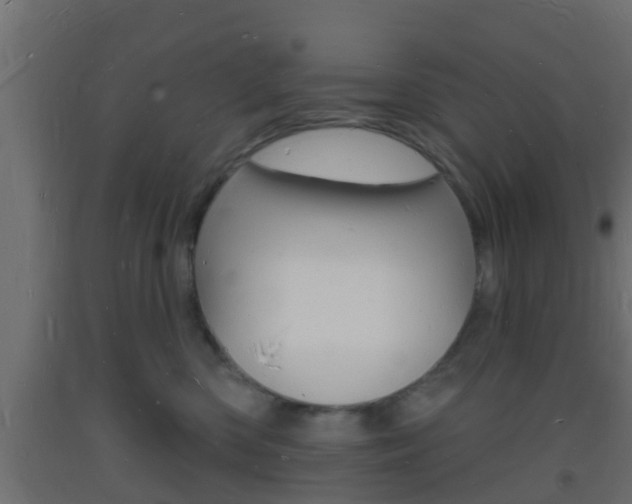 X0000093720426200710160755