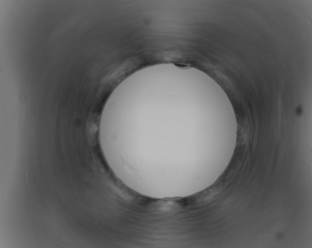 X0000093720427200710160755