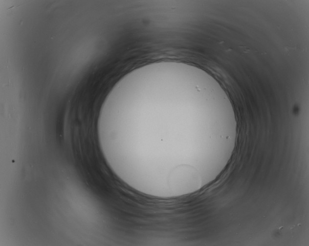 X0000093720429200710160755