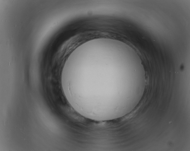 X0000093720430200710160755