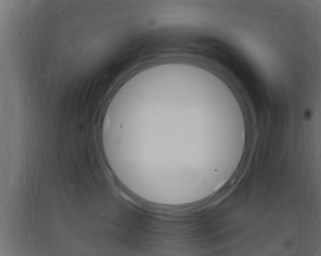 X0000093720431200710160755