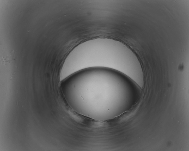 X0000093720432200710160755