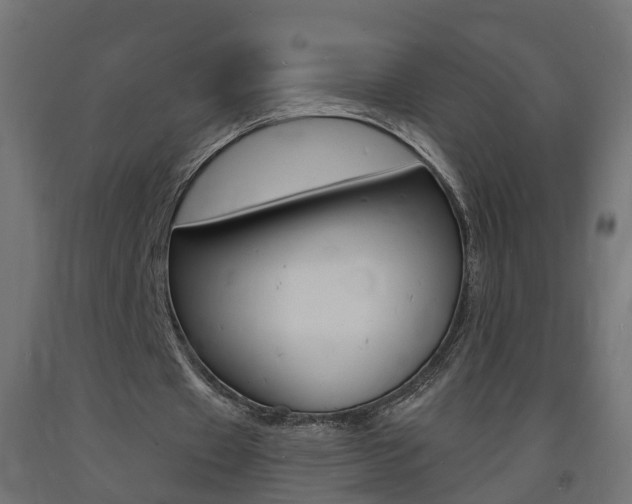 X0000093720433200710160754