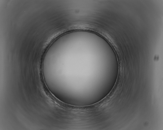 X0000093720434200710160754