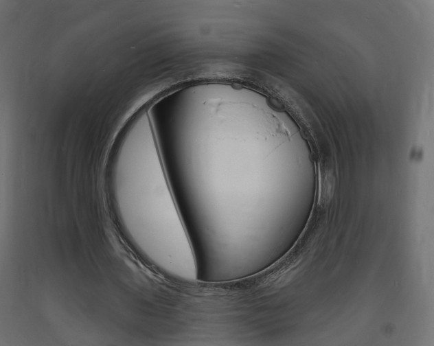 X0000093720435200710160754
