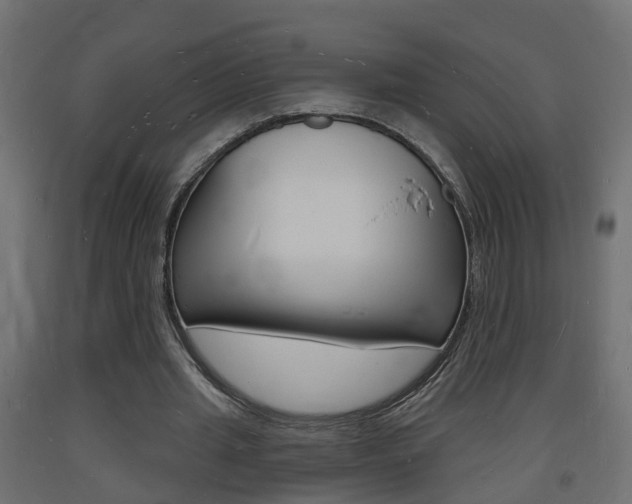 X0000093720437200710160754