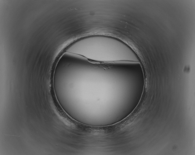 X0000093720438200710160754