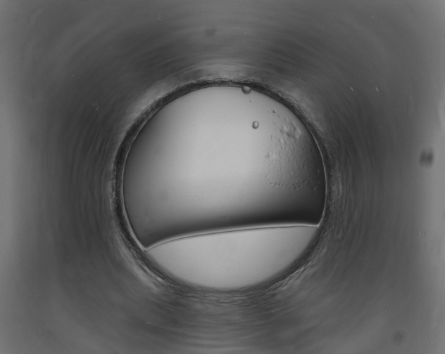 X0000093720439200710160754