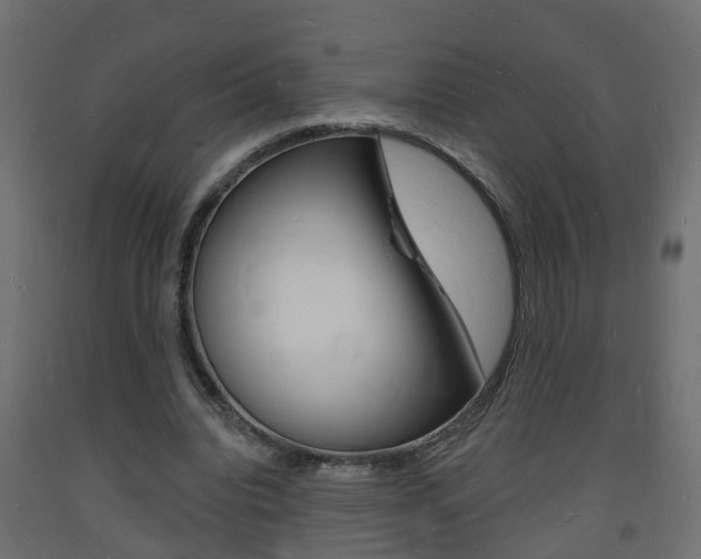 X0000093720440200710160754