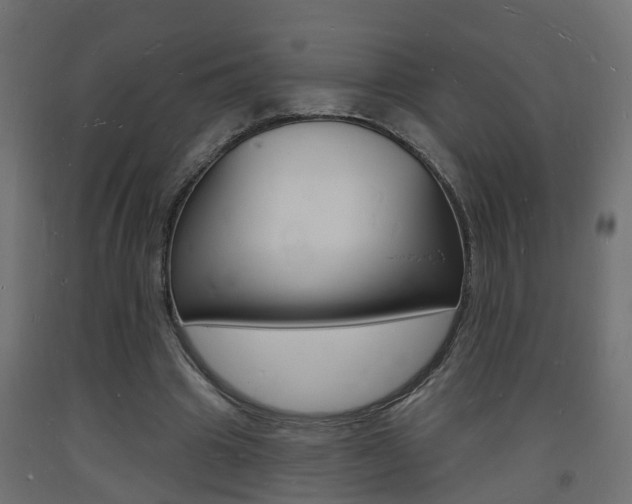 X0000093720441200710160754