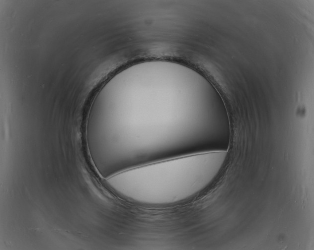 X0000093720443200710160754