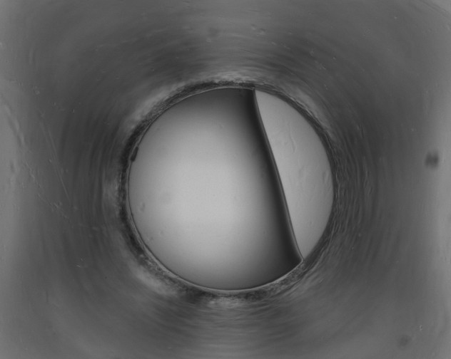X0000093720444200710160754