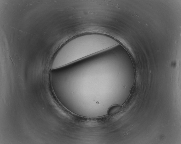 X0000093720445200710160754