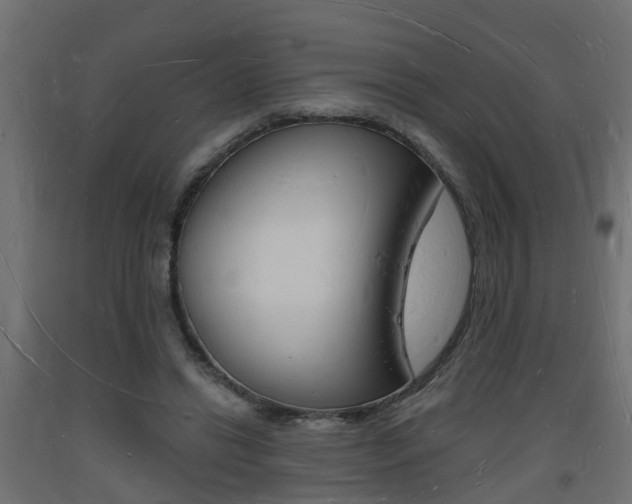 X0000093720446200710160754