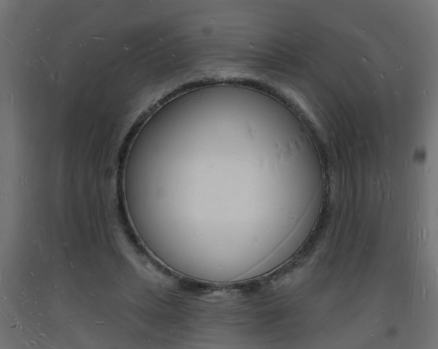 X0000093720447200710160754