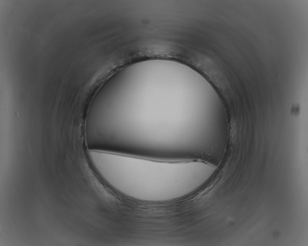 X0000093720449200710160754