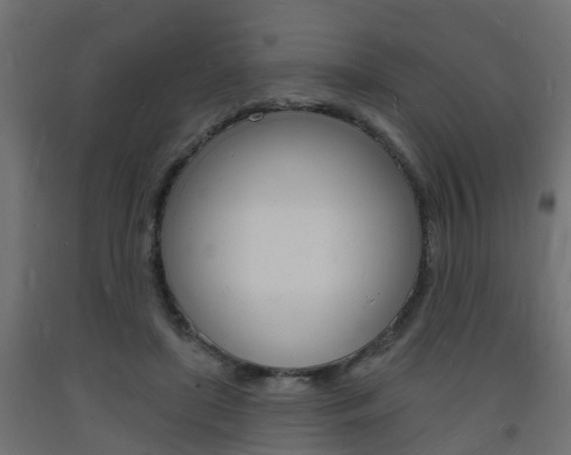X0000093720451200710160754