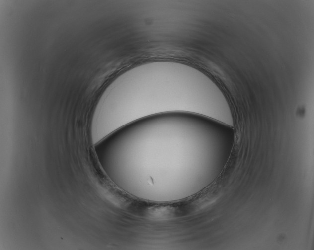 X0000093720452200710160754