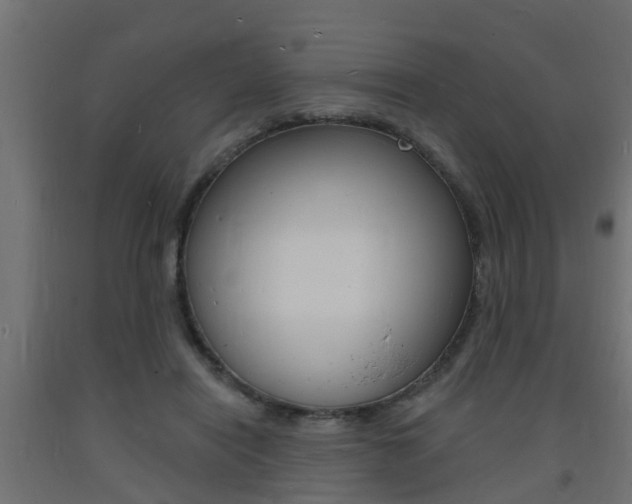 X0000093720454200710160754