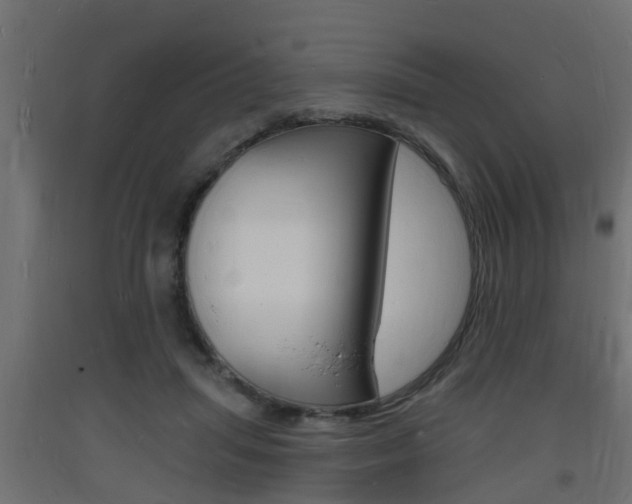 X0000093720455200710160755