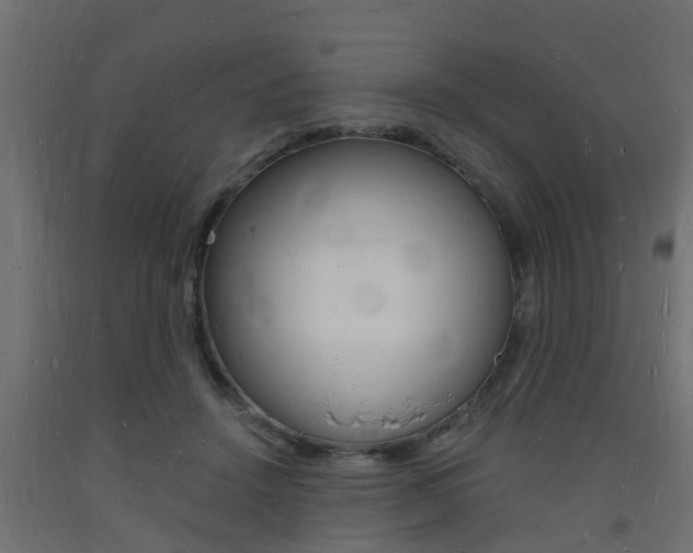 X0000093720456200710160755