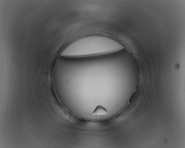 X0000093720457200710160755