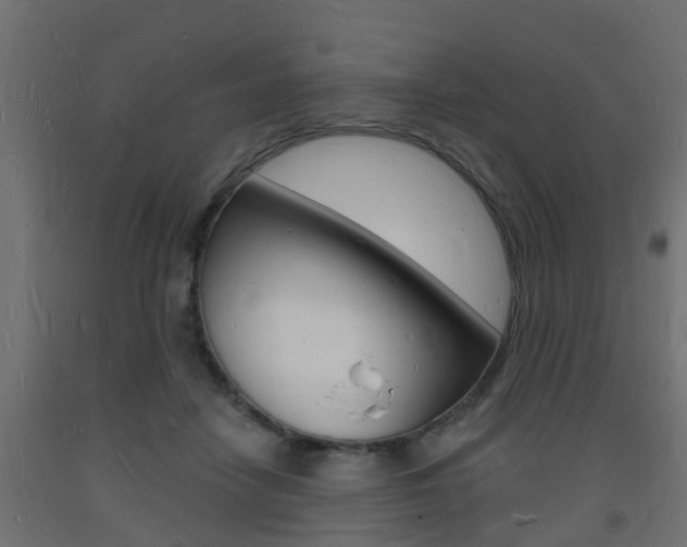 X0000093720458200710160755