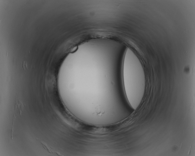 X0000093720459200710160755