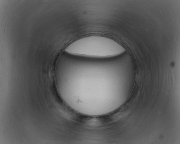 X0000093720460200710160755