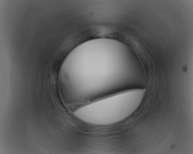X0000093720461200710160755