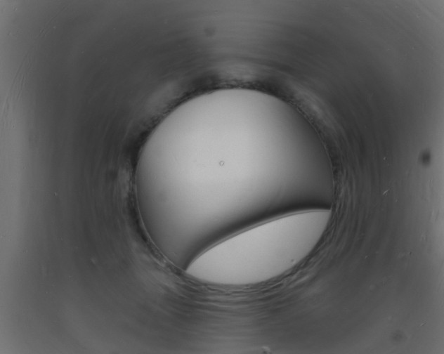 X0000093720463200710160755