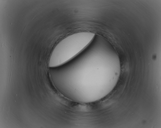 X0000093720464200710160755