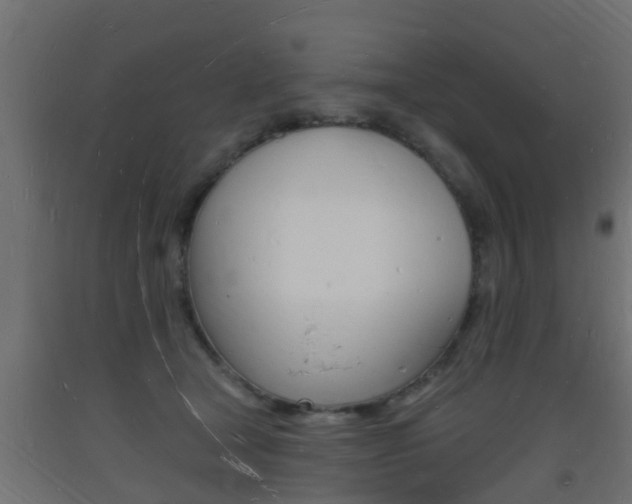 X0000093720465200710160755