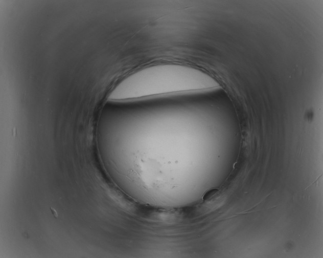 X0000093720466200710160755