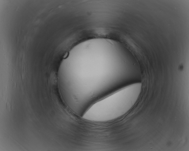 X0000093720467200710160755