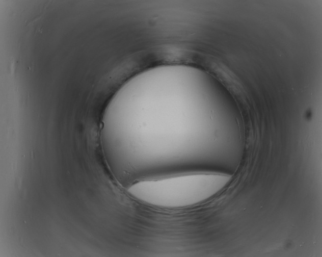 X0000093720469200710160755